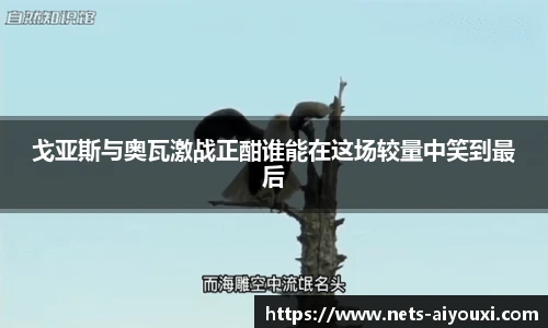 爱游戏体育